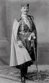 Mirko Dimitri Petrović-Njegoš